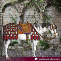 Horse Color:White Spotted Brown Rabicano 