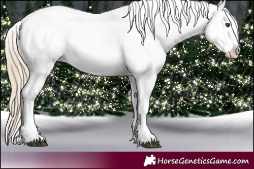 Horse Color:Chocolate Palomino Mushroom Appaloosa 