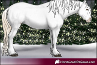 Horse Color:Chocolate Palomino Mushroom Appaloosa