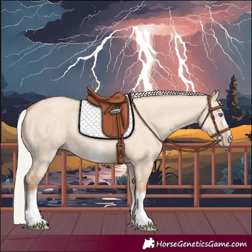 Horse Color:Silver Classic Champagne Dun Splash Frame 