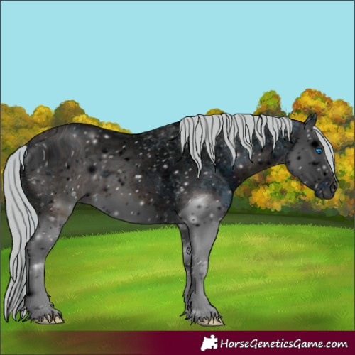 Horse Color:ERROR: UNKNOWN ANOMALY