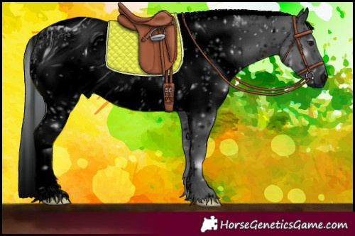 Horse Color:ERROR: UNKNOWN ANOMALY