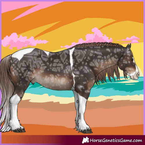 Horse Color:Liver Chestnut Ice Splash Tobiano 