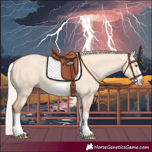 Horse Color:Silver Classic Champagne Dun Splash Frame 