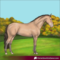 Horse Color:Amber Champagne 