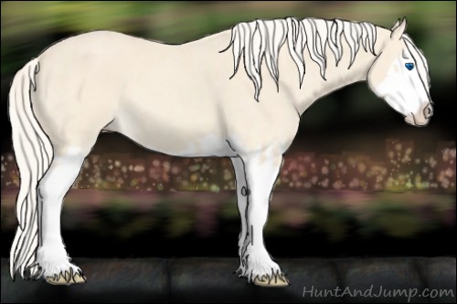 Horse Color:Cremello Splash  and Cremello Splash 