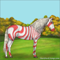 Horse Color:Palomino Near Leopard 