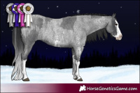 Horse Color:Blue Roan Sabino Splash  and Blue Roan Sabino Splash 
