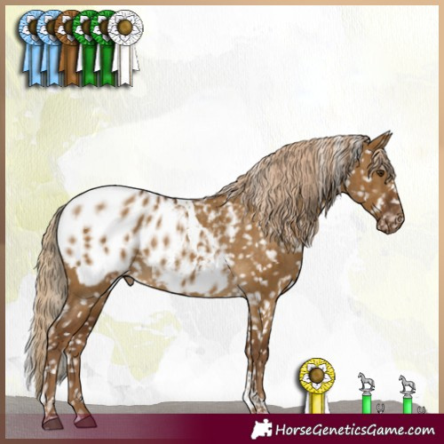 Horse Color:White Spotted Chocolate Palomino Dun Tobiano Blanket Brindle 