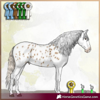 Horse Color:White Spotted Chocolate Palomino Dun Tobiano Appaloosa Brindle