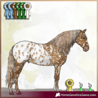 Horse Color:White Spotted Chocolate Palomino Dun Tobiano Blanket Brindle