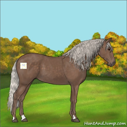 Horse Color:Silver Black 