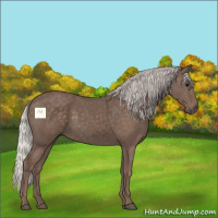 Horse Color:Silver Black 