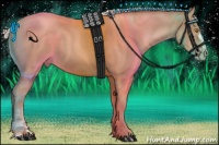 Horse Color:Silver Classic Champagne