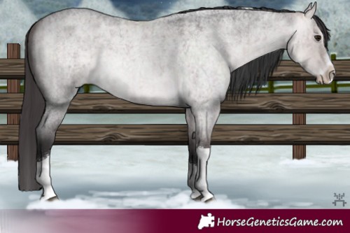 Horse Color:Platinum Buckskin Roan Dun Splash Tobiano Brindle 