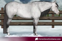Horse Color:Platinum Buckskin Roan Dun Splash Tobiano Brindle 