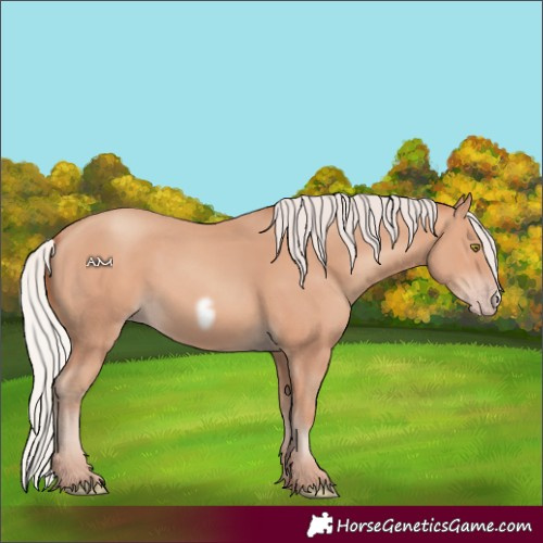 Horse Color:Silver Amber Champagne Frame 