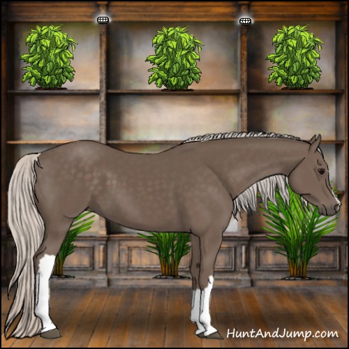 Horse Color:Silver Black 