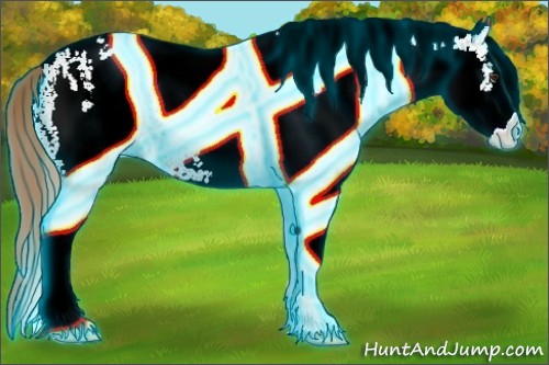 Horse Color:Thunderstruck White Spotted Chestnut 