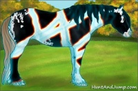 Horse Color:Thunderstruck White Spotted Chestnut 