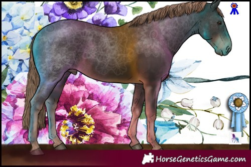 Horse Color:Liver Chestnut Rabicano 