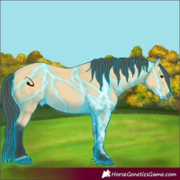 Horse Color:Thunderstruck Buckskin