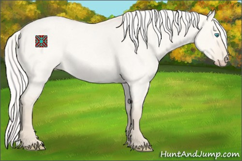 Horse Color:Silver Perlino Roan Dun 