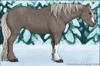 Horse Color:Silver Black 