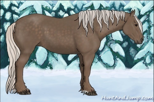 Horse Color:Silver Black 