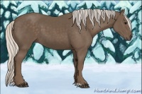 Horse Color:Silver Black 