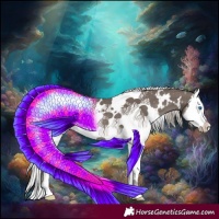 Horse Color:White Spotted Silver Black Splash 