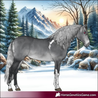 Horse Color:Silver Brown Chinchilla Tobiano