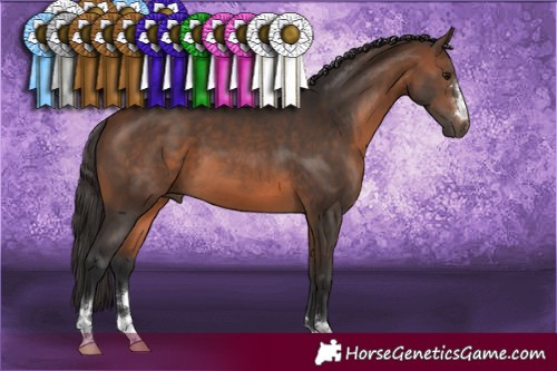 Horse Color:Brown 