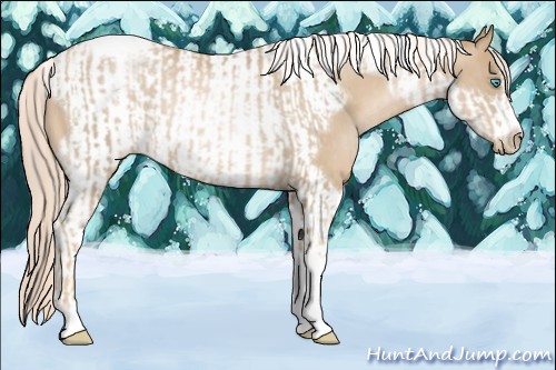 Horse Color:Chocolate Palomino Pearl Tobiano Frame  and Chocolate Palomino Pearl Tobiano Frame 