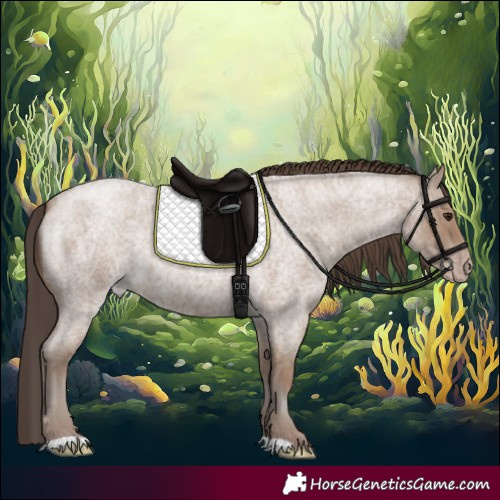 Horse Color:Classic Champagne Roan 