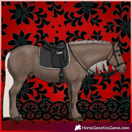 Horse Color:Silver Black 