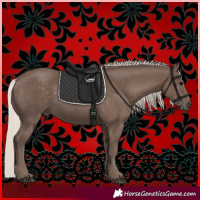 Horse Color:Silver Black 