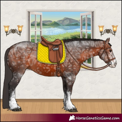 Horse Color:White Spotted Bay Ice 