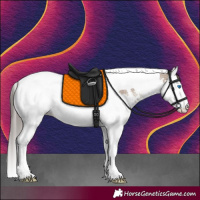 Horse Color:Classic Champagne Sabino Splash Tobiano Rabicano 