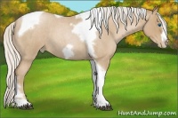 Horse Color:Silver Blue Roan Pearl Tobiano Frame 