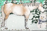 Horse Color:Gray Silver Buckskin Sabino Appaloosa Rabicano 