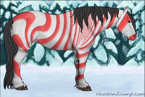 Horse Color:Blue Roan 