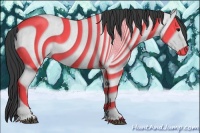 Horse Color:Blue Roan 