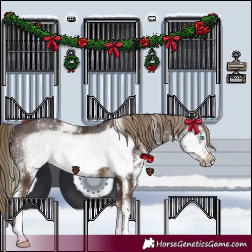 Horse Color:Liver Chestnut Sabino Frame 