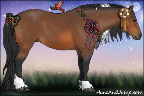 Horse Color:Bay Tobiano Rabicano 