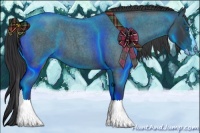 Horse Color:Blue Roan Splash 