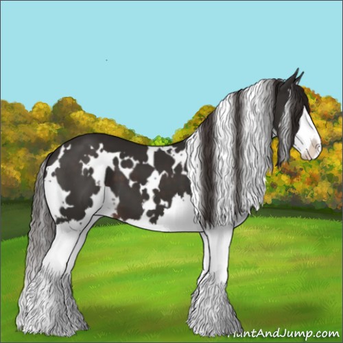 Horse Color:White Spotted Liver Chestnut Splash 