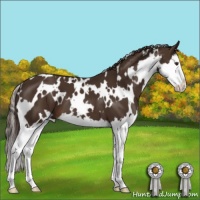 Horse Color:White Spotted Liver Chestnut Splash