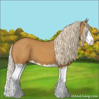 Horse Color:Palomino Sabino Splash 