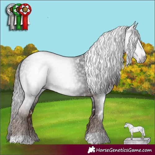 Horse Color:Gray White Spotted Liver Chestnut 